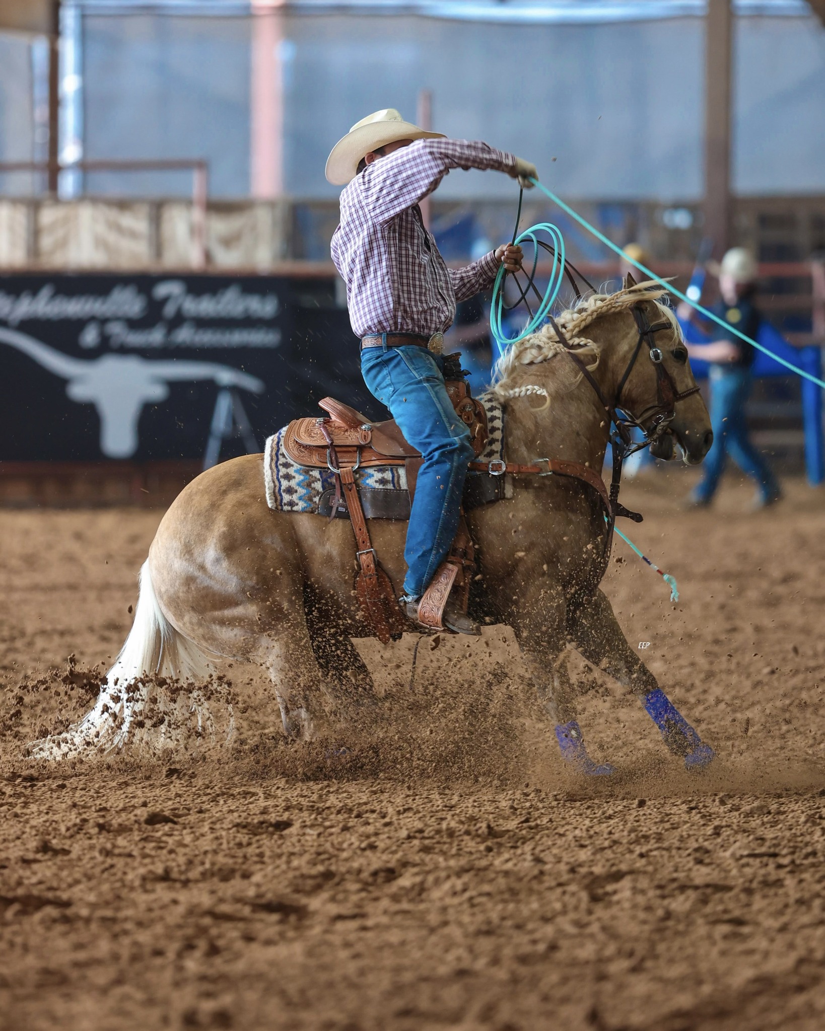 Koch’s Rockk Star, VonAhn’s SS Platinum Cat Get Gold Buckle Spring ...