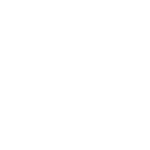 X Performance Horses