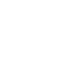 Outlaw Equine