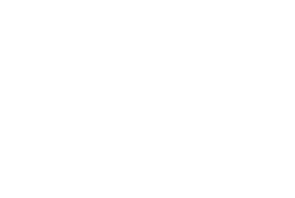Outlaw Equine