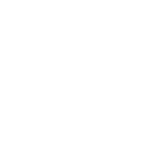 Fiddle And Steel